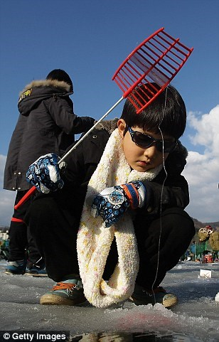 Han quoc cau ca tren bang